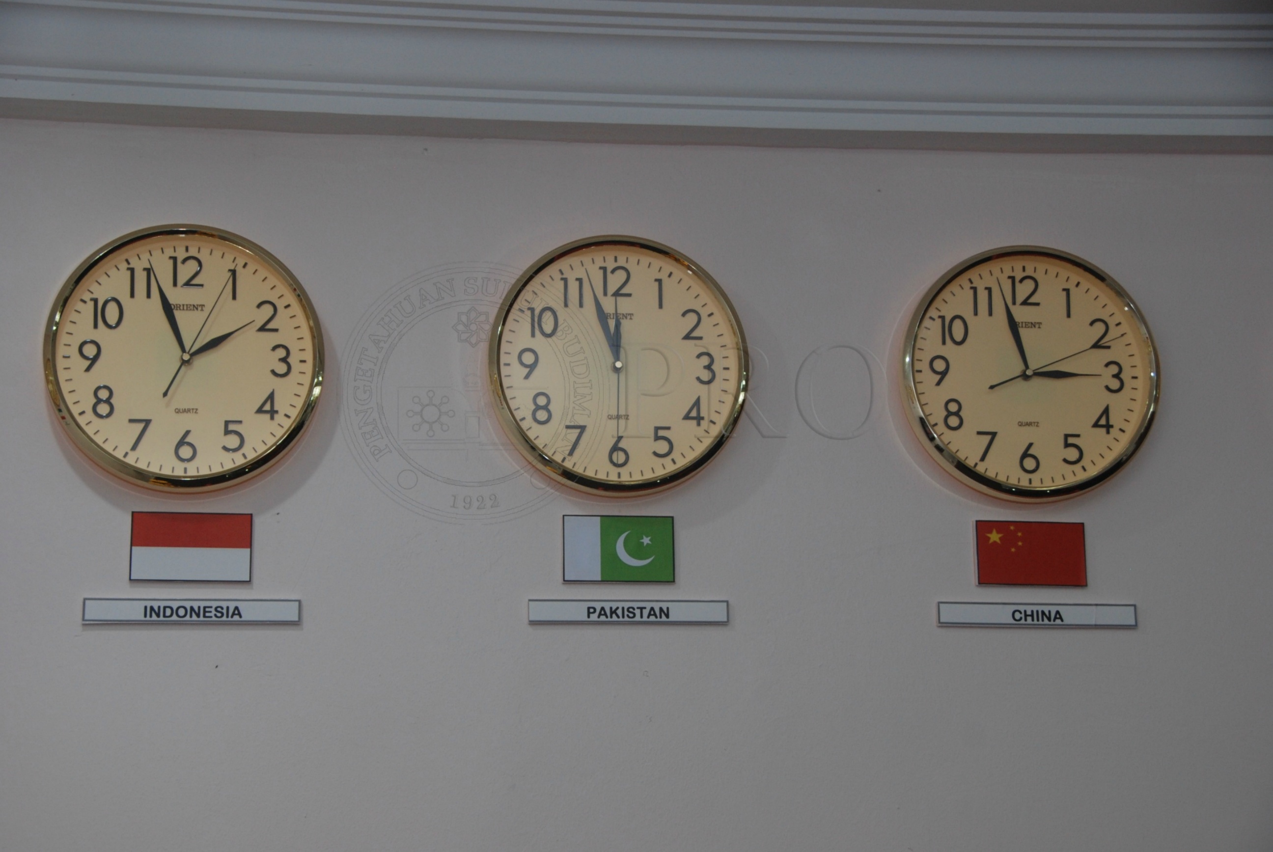 PRO 12 136 food DSC 9215